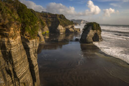 New Zealand 2025 (1 group) (17/66)